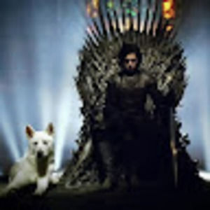 Meet your Posher, Hazel